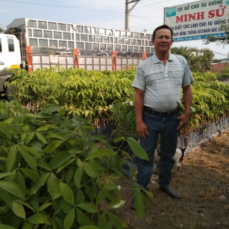 Hỗ trợ kỹ thuật cây giống