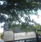 7f82af474382b9dce093-3024.jpg