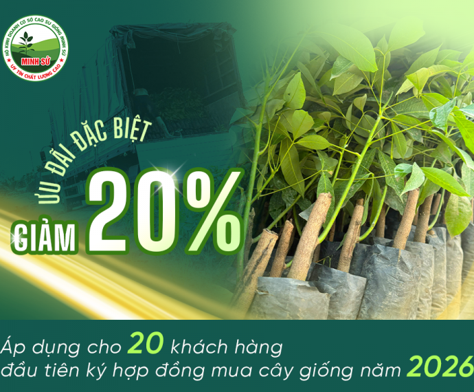 Ưu Đãi Giảm 20% Cho 20 Khách Hàng Hợp Đồng Mua Cây Giống 2026
